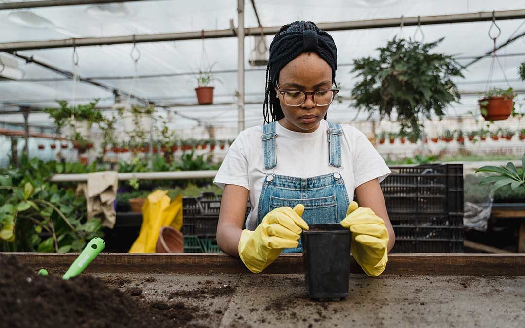 How Community Supported Agriculture Nourishes Our Neighbors