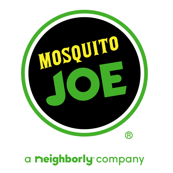 Mosquito Joe
