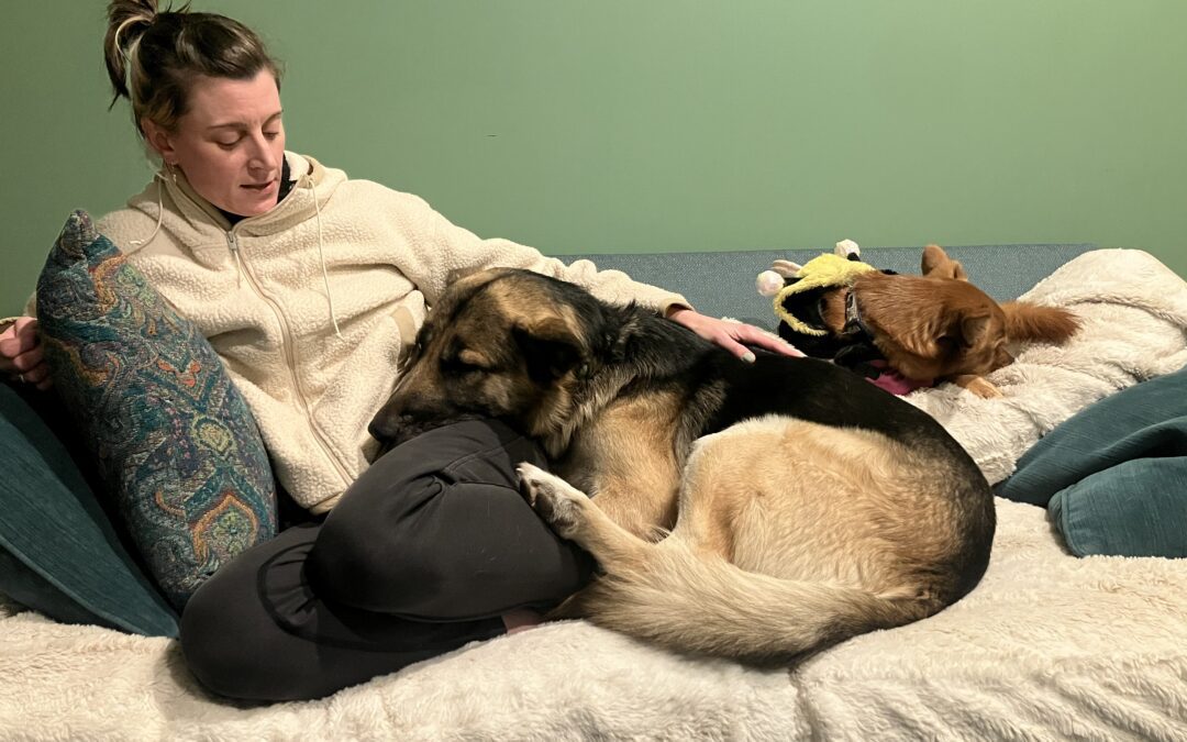 When Crisis Hits, Love Steps In: How Pawster and Dedicated Fosters Keep Families Whole